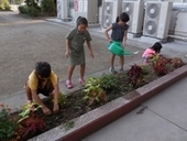 2018083016.jpg