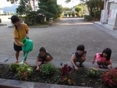 2018083018.jpg